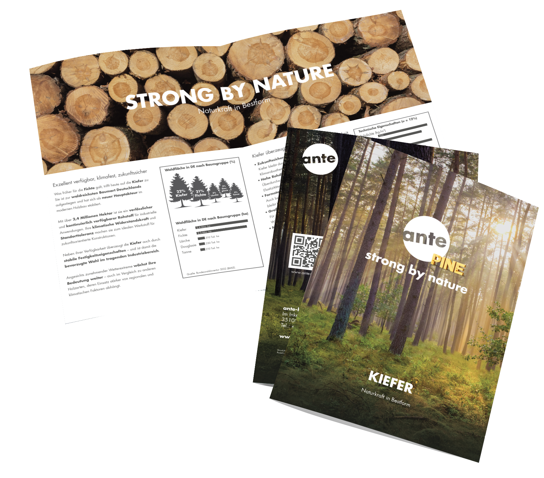 digitale-Broschüren-Vorschaubild-2